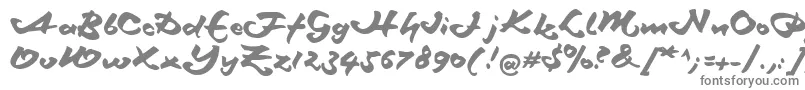 Schneidlermaxim Font – Gray Fonts