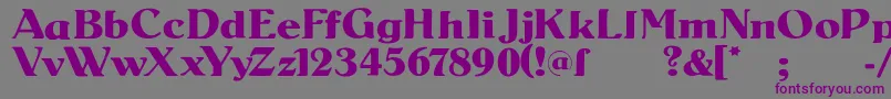 SenatsAntiqua Font – Purple Fonts on Gray Background