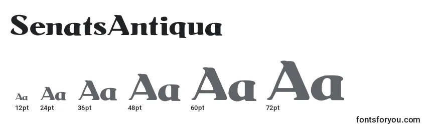 Размеры шрифта SenatsAntiqua