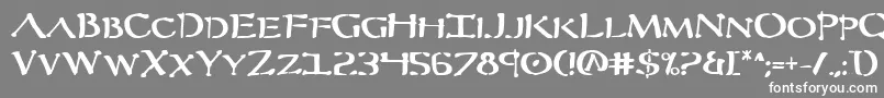 フォントSeverv2b – 灰色の背景に白い文字