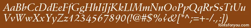 フォントDeutchMediumSsiMediumItalic – 茶色の背景に白い文字