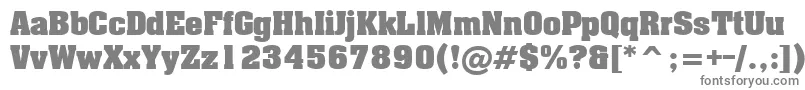 フォントLxr – 白い背景に灰色の文字