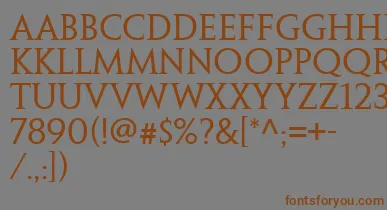 PenumbraSerifWeb font – Brown Fonts On Gray Background