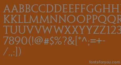PenumbraSerifWeb font – Gray Fonts On Brown Background