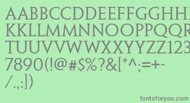 PenumbraSerifWeb font – Gray Fonts On Green Background