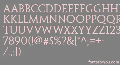PenumbraSerifWeb font – Pink Fonts On Gray Background