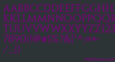 PenumbraSerifWeb font – Purple Fonts On Black Background