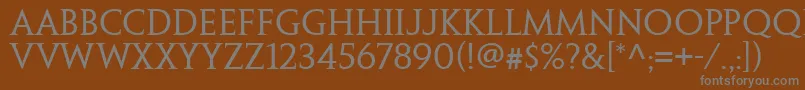PenumbraSerifWeb Font – Gray Fonts on Brown Background