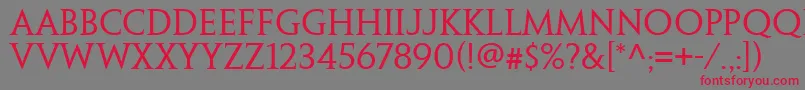PenumbraSerifWeb-Schriftart – Rote Schriften auf grauem Hintergrund