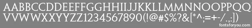 フォントPenumbraSerifWeb – 灰色の背景に白い文字