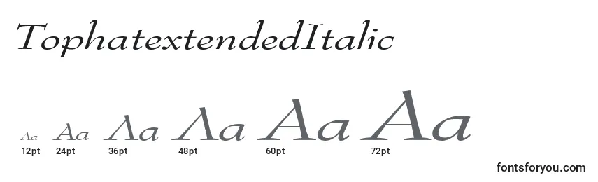 Размеры шрифта TophatextendedItalic