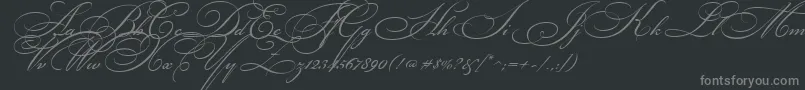 More about BikhamCyrScript Font BikhamCyrScript Font – Gray Fonts on Black Background
