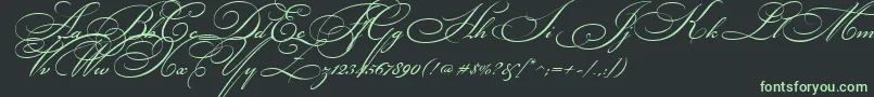 BikhamCyrScript Font – Green Fonts on Black Background