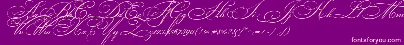 BikhamCyrScript Font – Pink Fonts on Purple Background