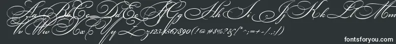 BikhamCyrScript-Schriftart – Weiße Schriften