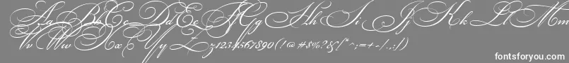 BikhamCyrScript-Schriftart – Weiße Schriften auf grauem Hintergrund