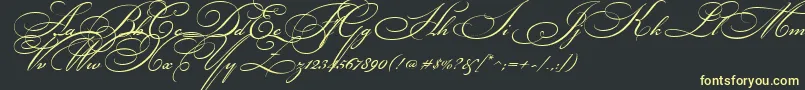 BikhamCyrScript Font – Yellow Fonts on Black Background