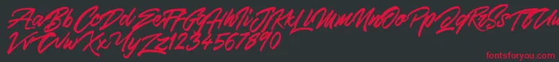 SkywalkerFreeDemo Font – Red Fonts on Black Background