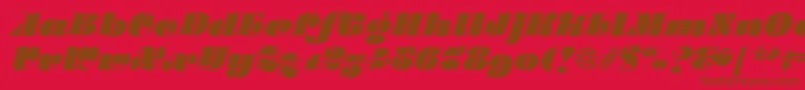 SalmonRegular Font – Brown Fonts on Red Background