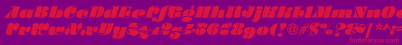 SalmonRegular Font – Red Fonts on Purple Background