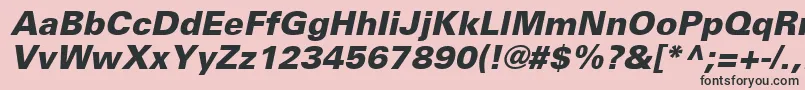 UniversLt76BlackOblique Font – Black Fonts on Pink Background