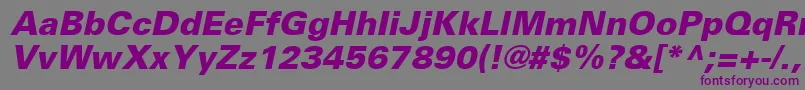 UniversLt76BlackOblique Font – Purple Fonts on Gray Background