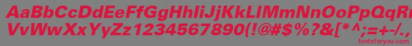 UniversLt76BlackOblique Font – Red Fonts on Gray Background