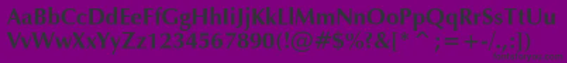 ZapfHumanist601BoldBt Font – Black Fonts on Purple Background