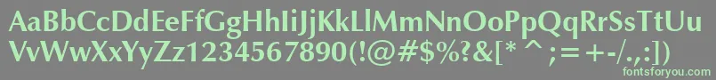 Шрифт ZapfHumanist601BoldBt – зелёные шрифты на сером фоне
