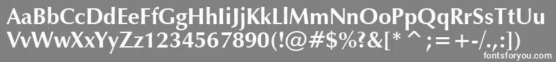 ZapfHumanist601BoldBt Font – White Fonts on Gray Background