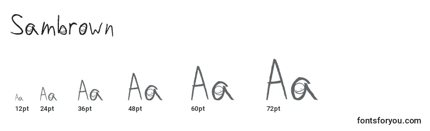 Sambrown Font Sizes