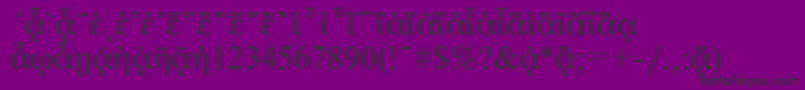 フォントNewtonpgttNormal – 紫の背景に黒い文字