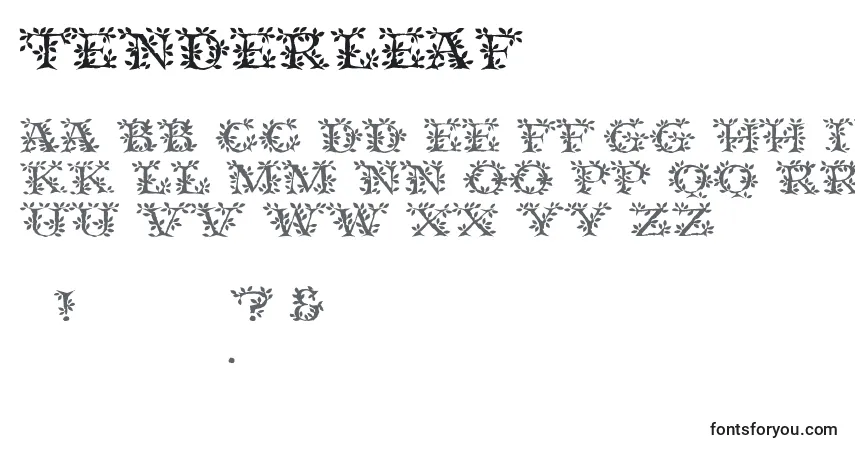 Czcionka Tenderleaf – alfabet, cyfry, specjalne znaki
