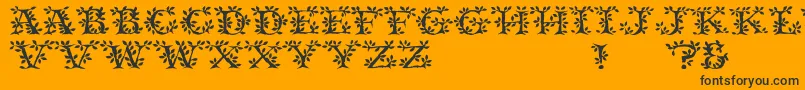 More about Tenderleaf Font Tenderleaf Font – Black Fonts on Orange Background