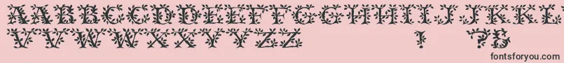 More about Tenderleaf Font Tenderleaf Font – Black Fonts on Pink Background