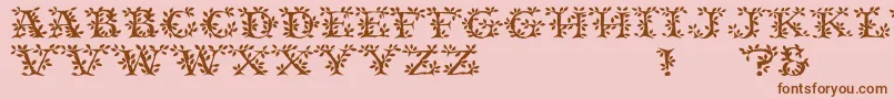 Tenderleaf Font – Brown Fonts on Pink Background