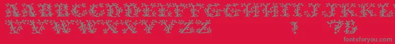 Tenderleaf Font – Gray Fonts on Red Background