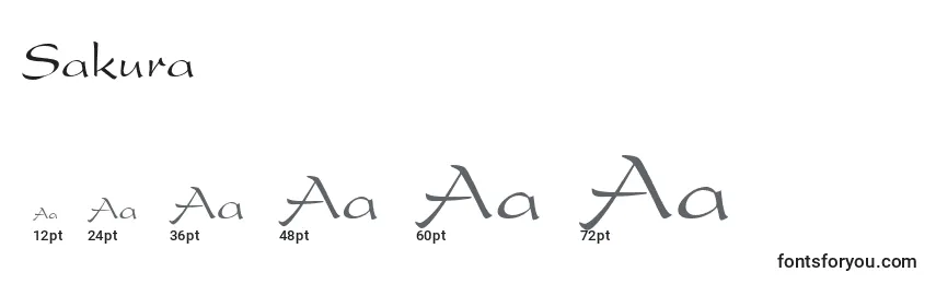 Размеры шрифта Sakura