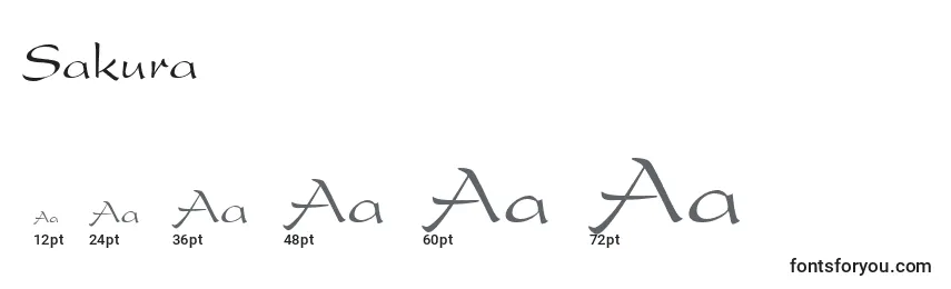 Größen der Schriftart Sakura