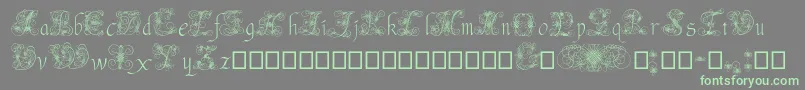 AndradeSwash Font – Green Fonts on Gray Background