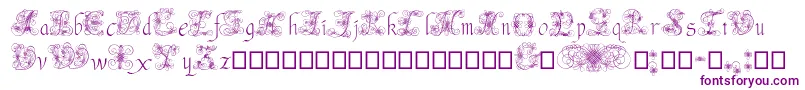 AndradeSwash Font – Purple Fonts on White Background