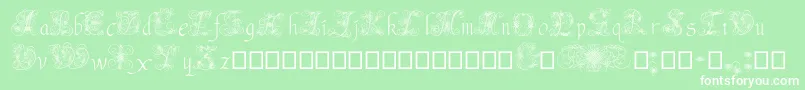 AndradeSwash Font – White Fonts on Green Background