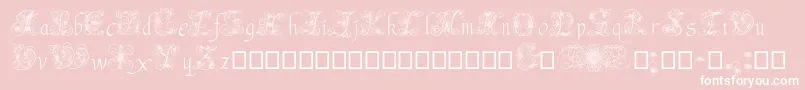 AndradeSwash Font – White Fonts on Pink Background