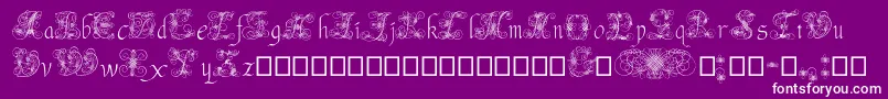 AndradeSwash-Schriftart – Weiße Schriften auf violettem Hintergrund