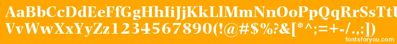 PhotinaMtBold Font – White Fonts on Orange Background