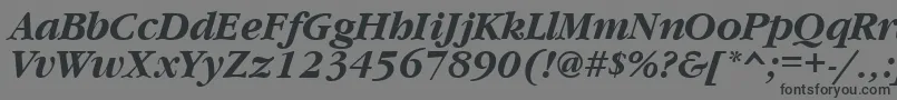 GaramondcttBolditalic Font – Black Fonts on Gray Background