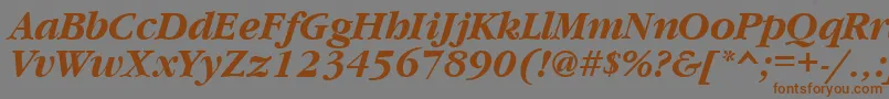 フォントGaramondcttBolditalic – 茶色の文字が灰色の背景にあります。