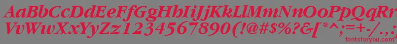 GaramondcttBolditalic Font – Red Fonts on Gray Background