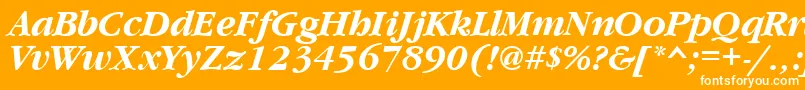 GaramondcttBolditalic Font – White Fonts on Orange Background