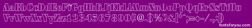 DekoblackopenserialRegular Font – White Fonts on Purple Background